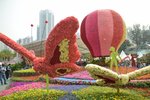 DSC_7037_s