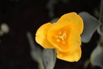 DSC_7049_s