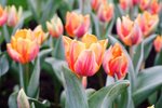 2019-03-15_DSCF1093