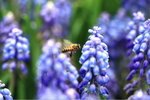 IMG_0440