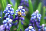 IMG_0447