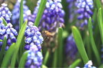 IMG_0453