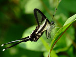 DSCF2788