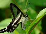 DSCF2789