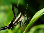 DSCF2792
