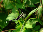DSCF2793