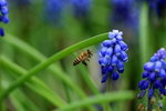 IMG_0247
