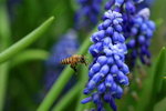 IMG_0250