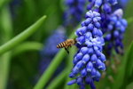 IMG_0252