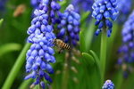 IMG_0267
