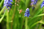 IMG_0276