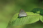IMG_0191