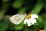 IMG_0013