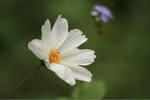 IMG_0070
