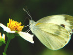 DSCF3389