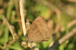 IMG_0019