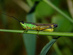 DSCF2622