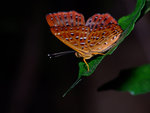 DSCF2625