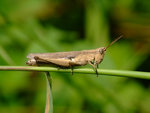 DSCF2676
