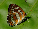 DSCF2680