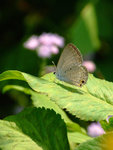 DSCF2708