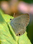 DSCF2716