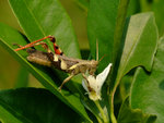 DSCF2843