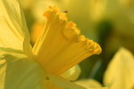 IMG_0763