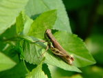 DSCF3261