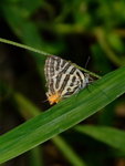 DSCF3269