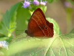 DSCF3276
