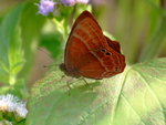 DSCF3277