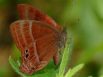 DSCF3281