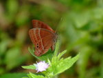 DSCF3282