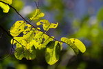 IMG_8582