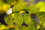 IMG_8585
