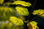 IMG_8589