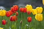 IMG_2042