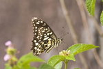 IMG_6840