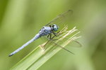 IMG_2149
