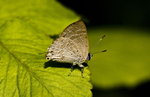 IMG_3257