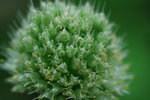 CDM_0190