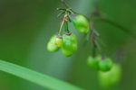 CDM_0403