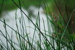 LAW_0083