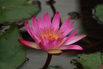 IMG_1482 (Medium)