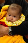 IMG_0256 (Large)