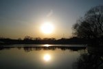 IMG_0418 (Medium)