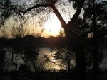 IMG_0420 (Medium)