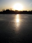 IMG_0425 (Medium)