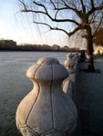 IMG_0426 (Medium)
